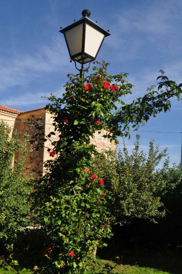 فيلا El Jardin De Manuela Santibanez del Val المظهر الخارجي الصورة