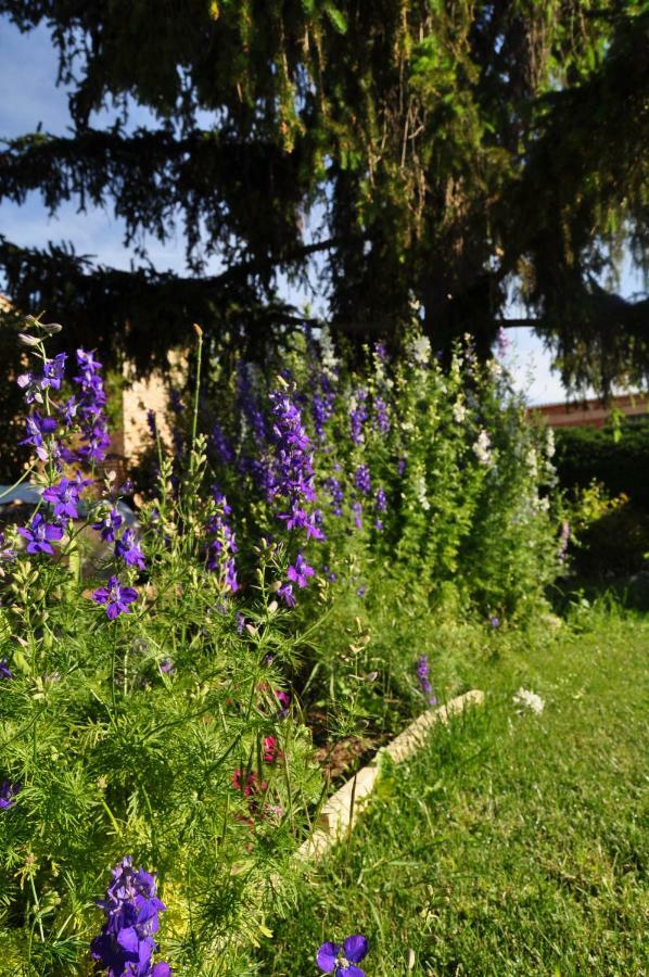 فيلا El Jardin De Manuela Santibanez del Val المظهر الخارجي الصورة